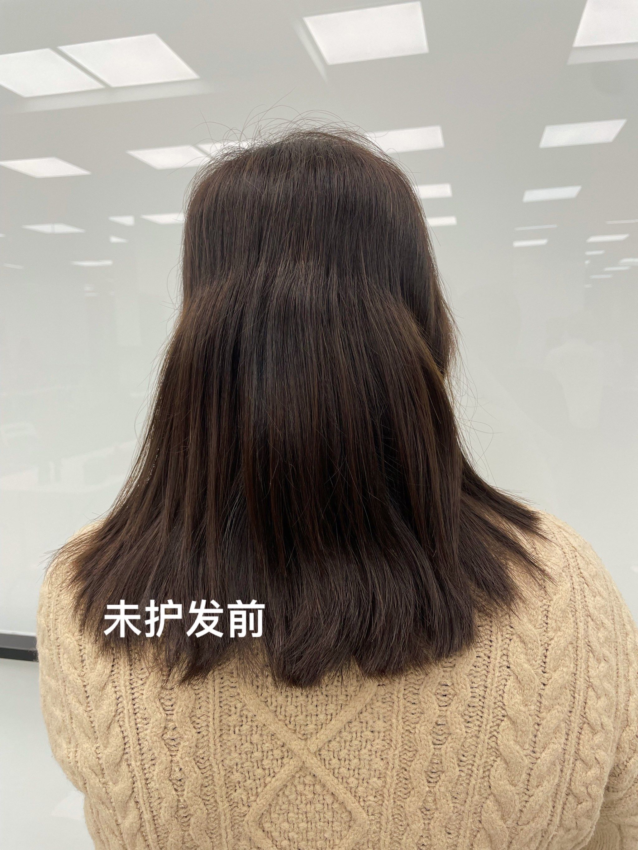 资生堂ss专业护理头发