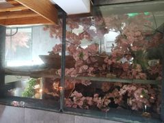 -缘福乡村铁锅炖民宿(八达岭店)