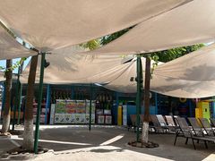 -重庆海昌加勒比海水世界