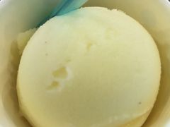 -莓园冰淇淋店