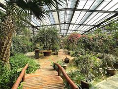 -呀路古热带植物园