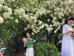 -大龙山(地铁站)