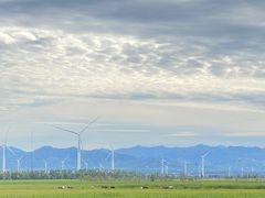 -野鸭湖国家湿地公园