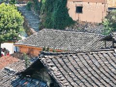 -杨家堂村