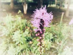 -梁鸿国家湿地公园