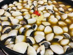 -顺德哥卜卜贝(旗舰店)