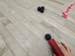 -健身专家Wellness Experts