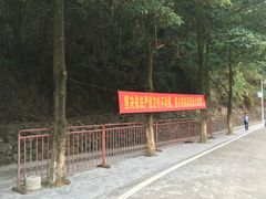-银瓶嘴森林公园