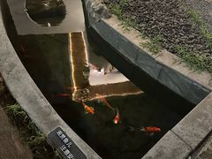 -汤宴·参须肚包鸡(南京路店)