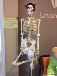 -Union瑜伽健康管理中心