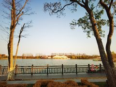 -上海长兴岛郊野公园