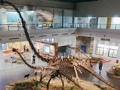 -自贡恐龙博物馆