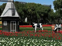 -大宁郁金香公园-停车场