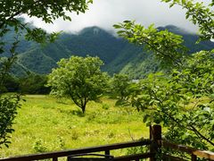 -大九湖