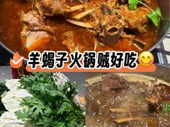 -蝎王府羊蝎子(西直门店)