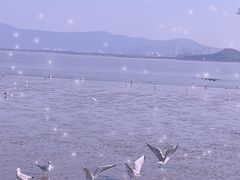 -深圳湾公园(南山区)
