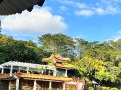 -深圳仙湖植物园