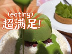 -猫里有甜