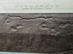 -延庆地质公园博物馆