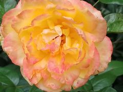 -苏州河梦清园环保主题公园