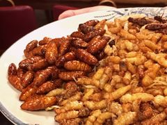 -缘生态云南菜·野生菌庭院餐厅(华侨城店)