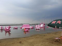 -碧海金沙