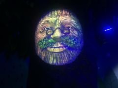 -杭州湾海上花田景区