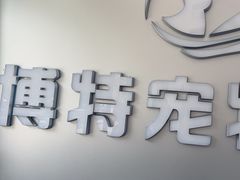 -博特宠物医院24h犬猫全科.骨科·异宠