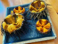 -海胆小馆(东北水饺·春柳店)