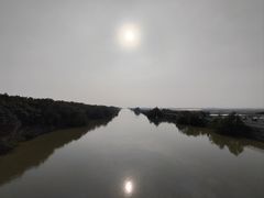 -大湾区中央湿地公园