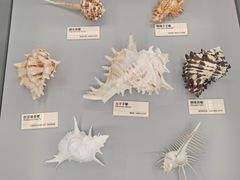 -天津古林古海岸遗迹博物馆