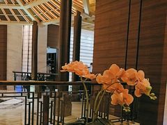 -浅深(厦门店)