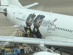 -上海浦东国际机场-T2航站楼
