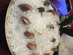 海通1号(梅峰店)-海通1号(梅峰店)