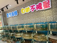 水产区-仙螺岛海鲜自助餐厅(总店)