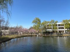 -古塔公园