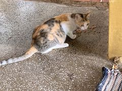 -ခြောက်ထပ်ကြီးရွှေသာလျောင်းဘုရားကြီး