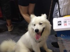 -东浩兰生上海世博展览馆