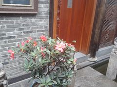-三只耳火锅(宽窄巷子店)