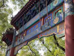 -北京国子监胡同