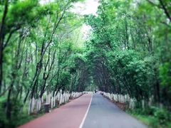 -艾溪湖湿地公园