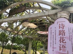 -苏州上方山国家森林公园