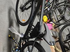 -道路口单车爱瓦士dahon大行