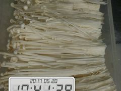 -二姐卤煮(南十里居店)