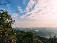 -阳台山森林公园