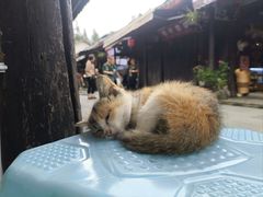 -崇州市街子古镇