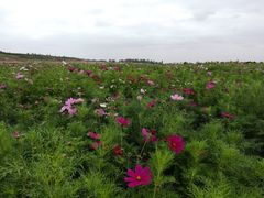 -扁都口生态休闲旅游区
