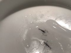 -点心传说·粤菜点心(佐阾虹湾店)