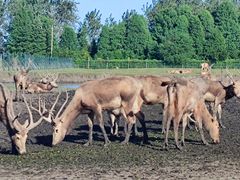 -溱湖国家湿地公园