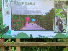 -野象谷景区